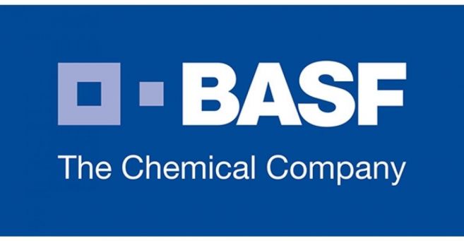Новинки автомобильных расцветок BASF